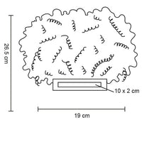 PELUCA CON RIZOS KEMPES