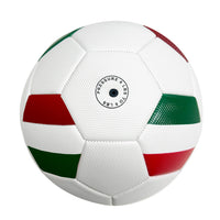 BALON DE FUTBOL MARADONA