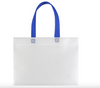 BOLSA PROMOCIONAL DELIVERY