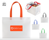 BOLSA PROMOCIONAL DELIVERY