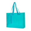 BOLSA PROMOCIONAL MAXINA